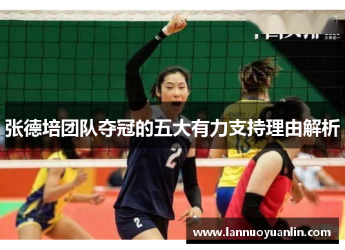 张德培团队夺冠的五大有力支持理由解析 张德培团队夺冠的五大有力支持理由解析